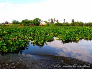 A journey to Ho Chi Minh City, Vietnam | The Hungry Nomad